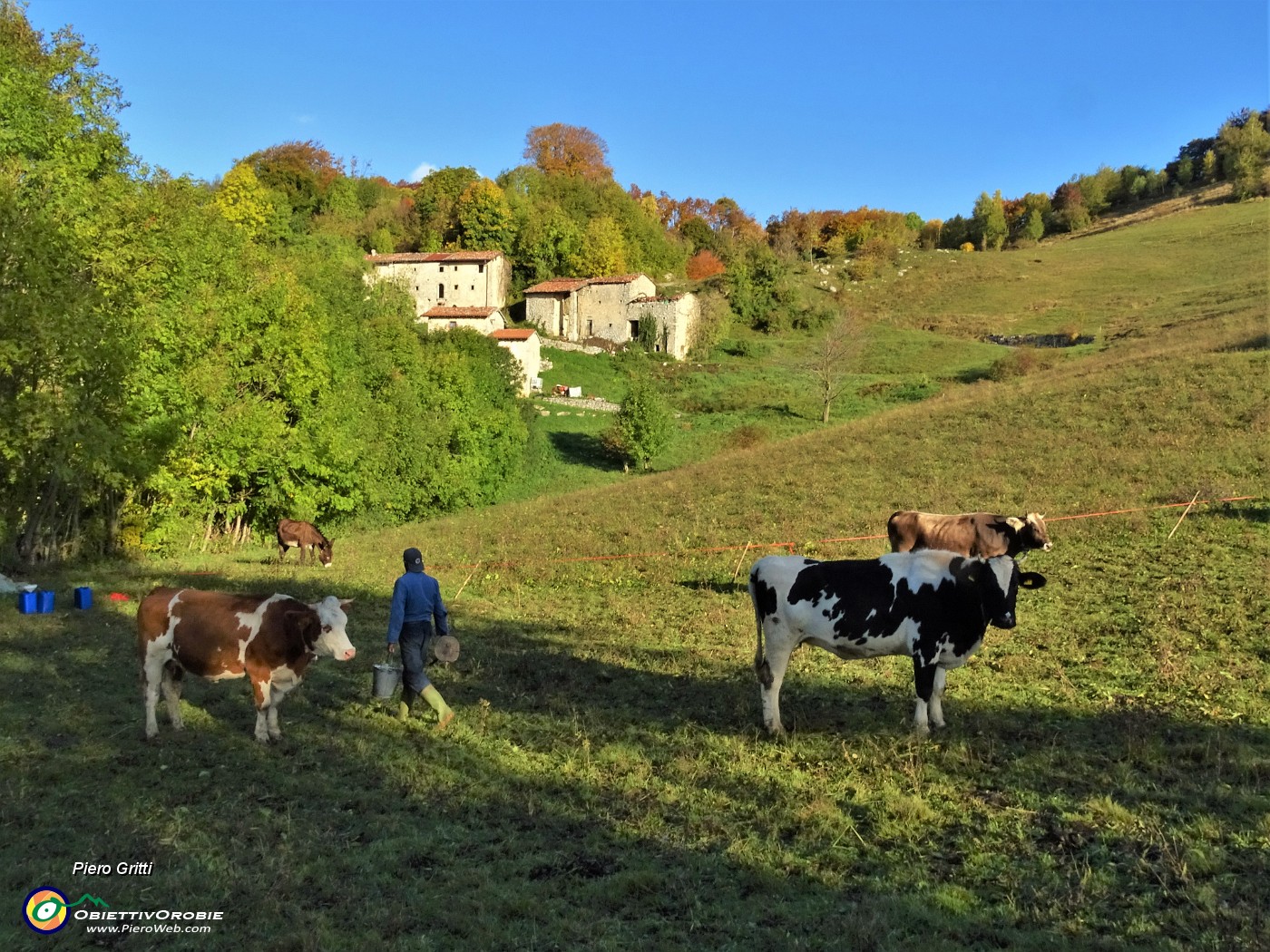 01 Ai pascoli colorati d'autunno del   Crosnello (1094 m), raggiunto da Catremerio (988 m).JPG